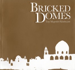 Bricked Domes