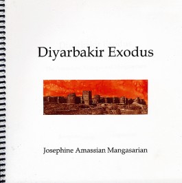 Diyarbekir Exodus