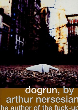 Dogrun