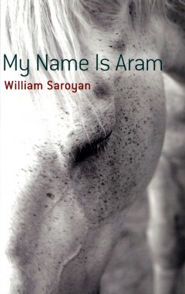 My Name is Aram