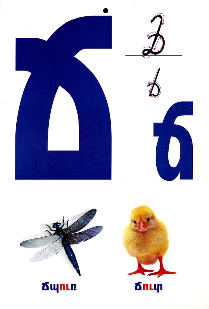 Armenian Alphabet for Children (small) - Posters - : Armenian  books, music, videos, posters, greeting cards, and gift items